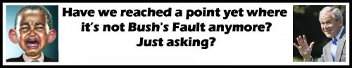 Still Bush Fault Question